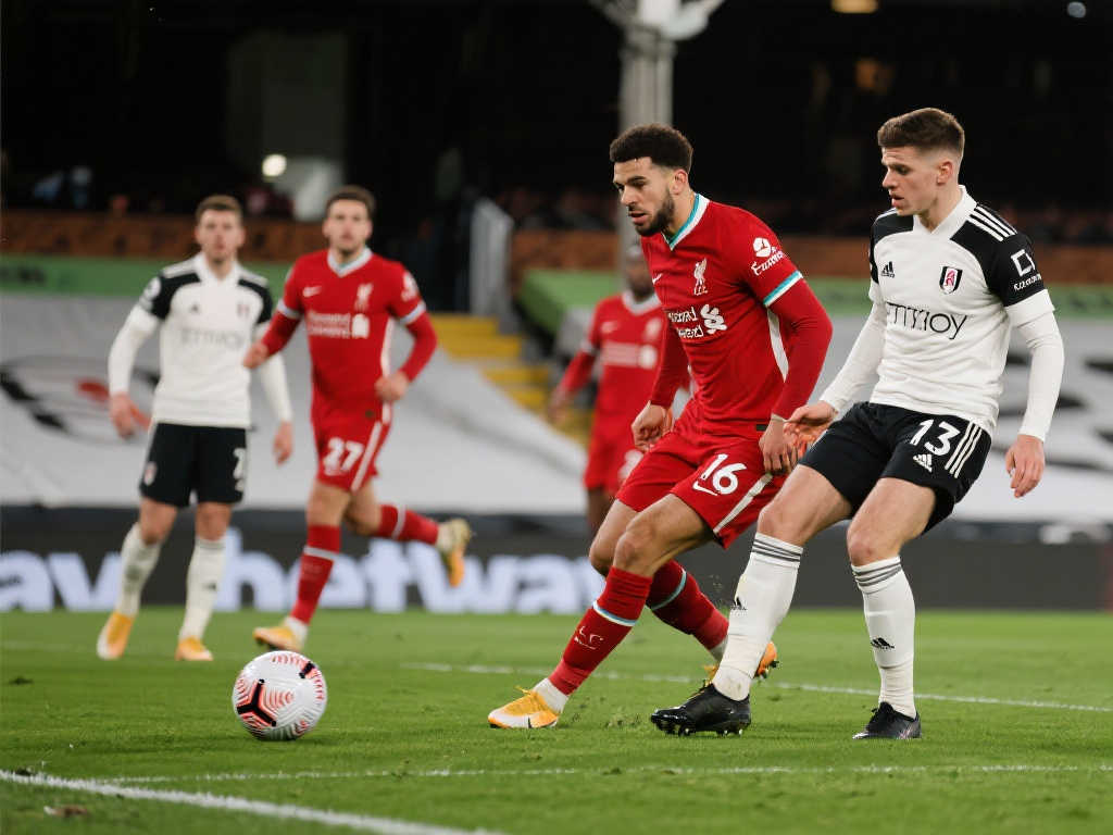 和媒体关注 和媒体关注