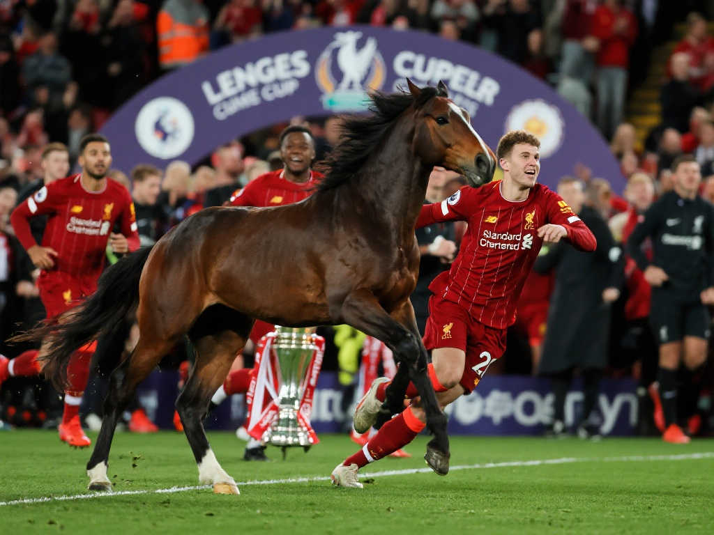 维克托的出 维克托的出